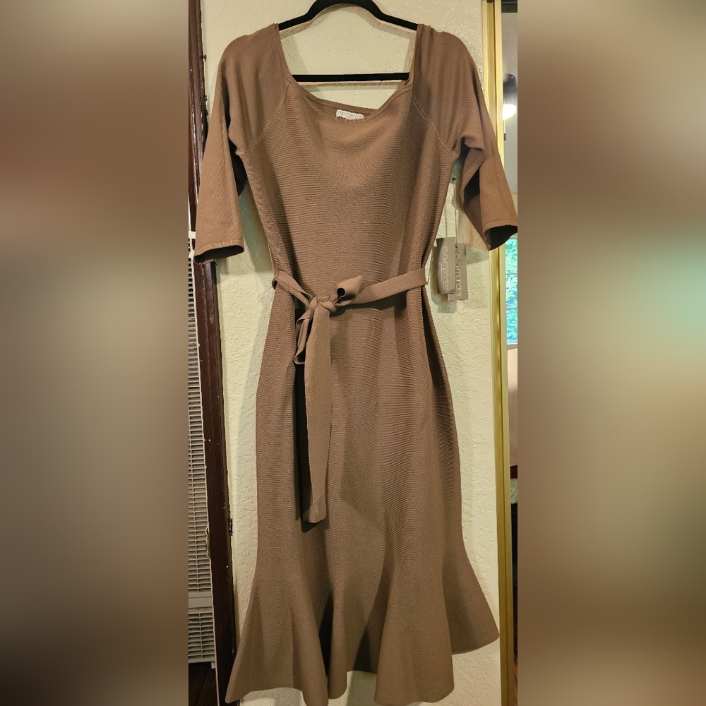 Eva Mendezs New Yoek Co. Elegant Brown Maeve Anthropologie Dress Size XL